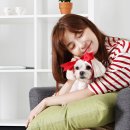 라이코 바이탈 코리아 이미지