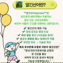 현대메디칼약국 이미지
