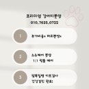 마마스미독 강아지분양 인천점 | 인천강아지분양 마마스미독강아지분양인천점