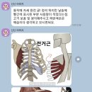 라피트필라테스