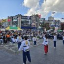 경희대 정 태권도 이미지