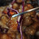 순천양꼬치 - 광양시 눈소1길 5 | 순천양꼬치
