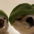 화춘몽 | [충남 금산] 화춘몽 / 동네 주민들이 사랑하는 맛있는 중식집