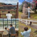 아침햇살의미소 | 아기랑 제주 동쪽 여행코스-섭지코지, 길갈팜랜드,함덕해수욕장,아침미소목장