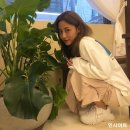 신흥내추럴