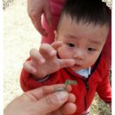 시립정왕어린이집 이미지