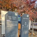 엄마의 부엌 | 밀양여행 가볼만한곳 밀양명소 영남루 주차 맛집