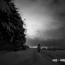 김춘만 브런치
