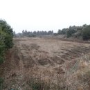 성읍리-24 이미지