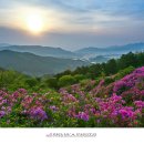 아영면 일대마을 이미지