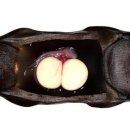 홍어사랑 이미지