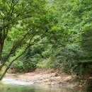 느티골길 이미지