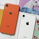 스마트폰 새로알기 이미지