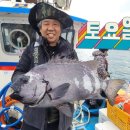 철수목장 이미지