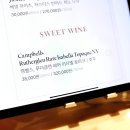 [신세계백화점 강남점] 하우스오브신세계 와인셀라 ‘BY THE GLASS’ 와인바 후기🍷