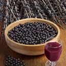 신이 준 생명의 열매` 아사이베리 효능` 이미지