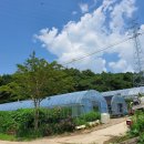 샘1공인중개사사무소 이미지