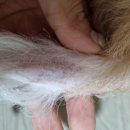 삼화 우수한동물병원 이미지