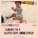 두돌전후 아기 전집 필요성, 그레이트북스 전집 구매 후기(놀라운자연, 베베코알라)