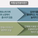 도담식품슈퍼 네이버블로그