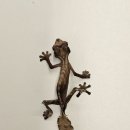 파충류샵 렙타일스테이션 이미지