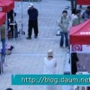 웃음마켓 티스토리