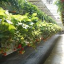 구름밭농장 이미지