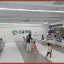 큰솔 태권도 이미지