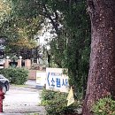 샘마을2길 28 이미지