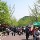 양평 산나물 축제 이미지