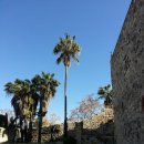 주안교회 이미지