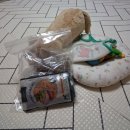 유리브동물병원 | [부산 동래 리브 동물의료센터] 4살 말티즈 쓸개골 수술 및 가격 (내돈내산)