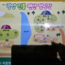 진틀펜션캠핑장 이미지