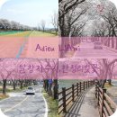 달성군유가면한정보건진료소 | 대구 달서구 근교 벚꽃 - 달창저수지 / 한정보건진료소