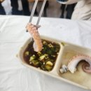 동백코스(서천-군산) | 서천 동백꽃 쭈꾸미축제 쭈꾸미샤브샤브 &amp; 군산 이성당 단팥빵 내돈내산 솔직후기