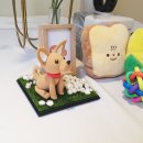 기억할개 이미지