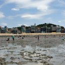 오이도어촌체험휴양마을 | 오이도 어촌체험마을 당일치기 해루질 아이와 갈만한 곳