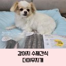 더야무지개 이미지