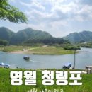 김삿갓 계곡 캠핑장 이미지