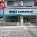 신정애견 이미지