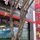 황비홍마라탕 네이버블로그