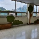 천안쌍정초등학교 이미지