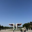영원한 청춘 FOREVER YOUNG ᯓ★.ᐟ