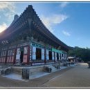 상관편백숲 공영주차장 이미지