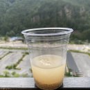 정선 파인포레스트 /스파스위트룸, 슈페리어룸,바베큐장, 고카트