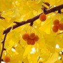 푸른 둥지 이미지