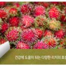 리치 이미지