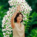 인면수심 이미지
