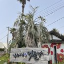 위미애 머물다 | [제주 서귀포 맛집/내돈내산]위미애머물다/솔직후기