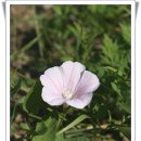 그바다에 가면 이미지